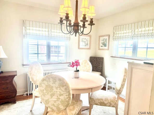 dining area with radiator heating unit, a wealth of natural light, a chandelier, and light hardwood / wood-style flooring