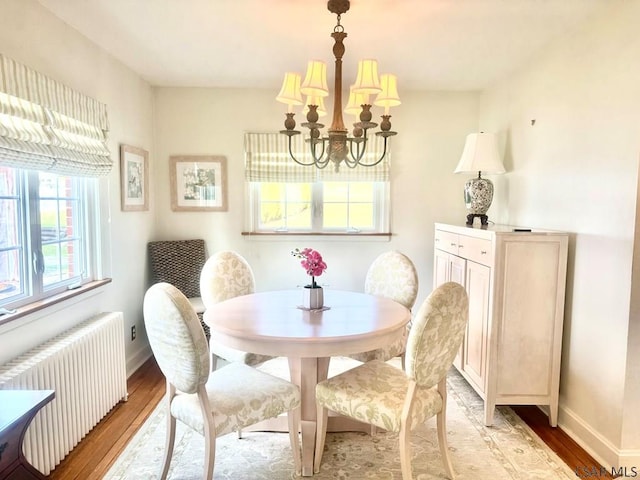 dining room with radiator, a chandelier, and light hardwood / wood-style floors