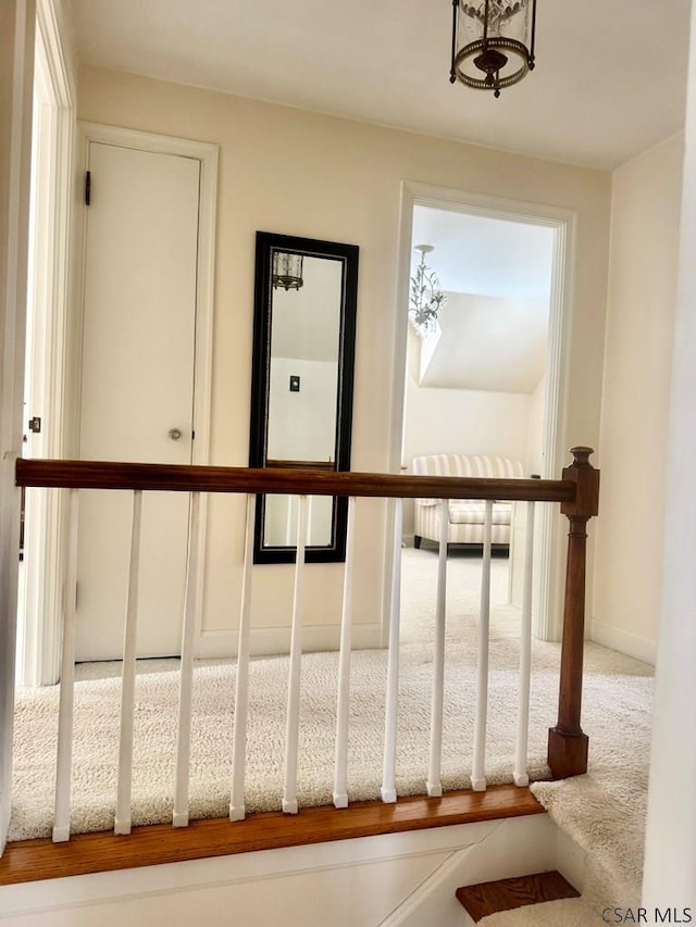 staircase with carpet floors