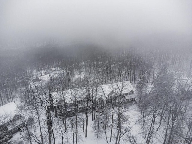 view of snowy aerial view