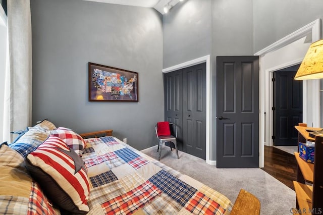 bedroom with carpet floors, a high ceiling, and a closet