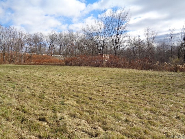 Cheney Oaks Dr, Johnstown, PA 15905 - photo 3