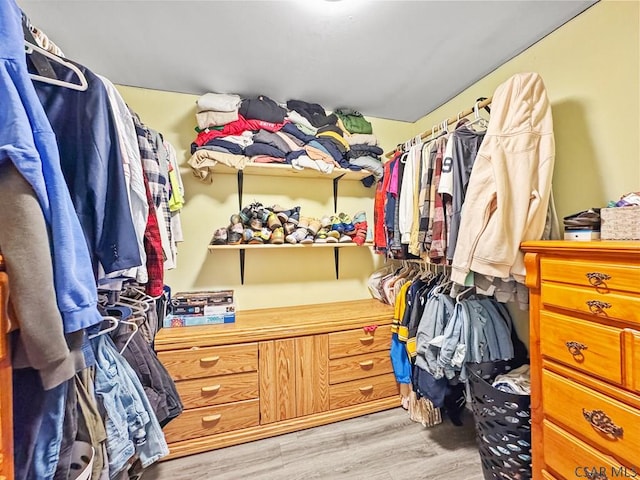 spacious closet featuring light wood finished floors