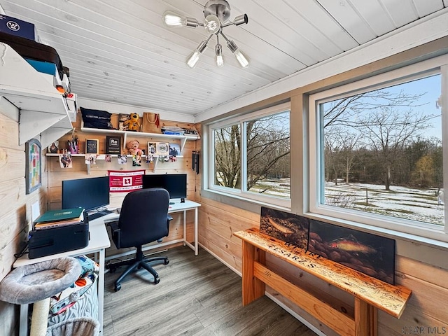 office space with wood finished floors, wood ceiling, and wooden walls