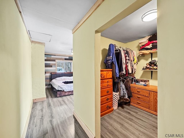 spacious closet featuring wood finished floors