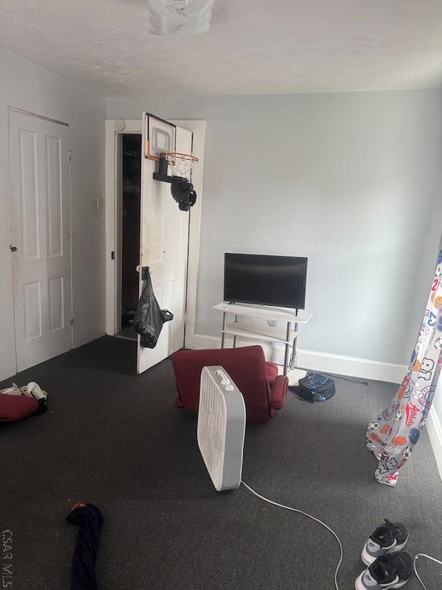 113 Sheridan St, Johnstown, PA 15906 - playroom with a textured ceiling, carpet floors, and baseboards