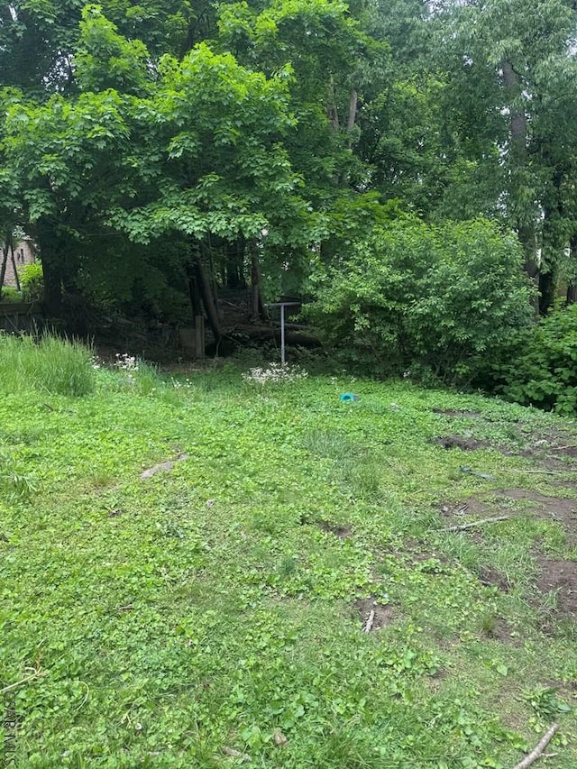 113 Sheridan St, Johnstown, PA 15906 - view of local wilderness
