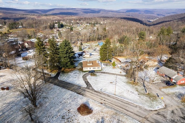 birds eye view of property featuring a mountain view