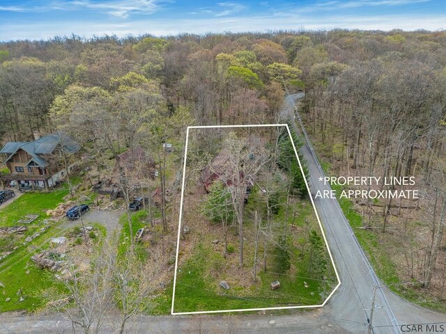 439 Zermatt Rd, Boswell, PA 15531 - photo 40