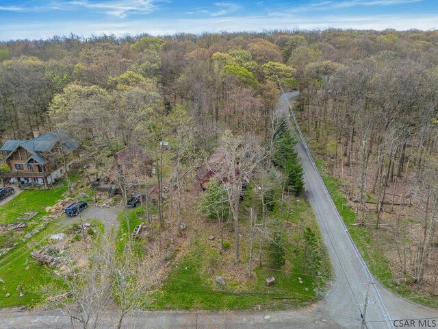 439 Zermatt Rd, Boswell, PA 15531 - photo 42