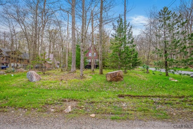 439 Zermatt Rd, Boswell, PA 15531 - photo 37