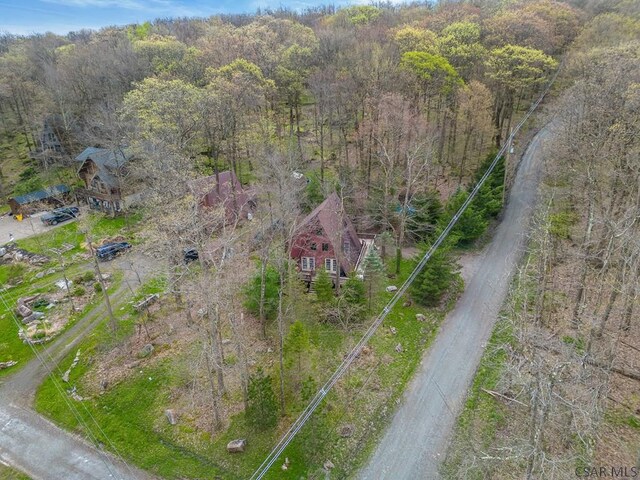 439 Zermatt Rd, Boswell, PA 15531 - photo 43