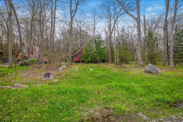 439 Zermatt Rd, Boswell, PA 15531 - photo 38