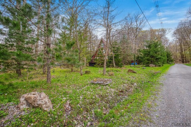 439 Zermatt Rd, Boswell, PA 15531 - photo 36