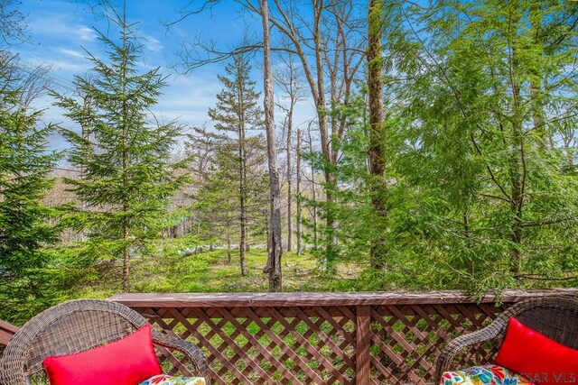 439 Zermatt Rd, Boswell, PA 15531 - photo 39