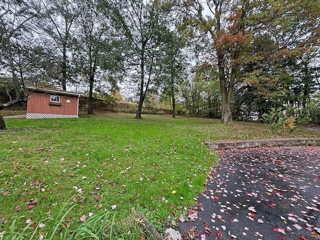 view of yard with a storage unit