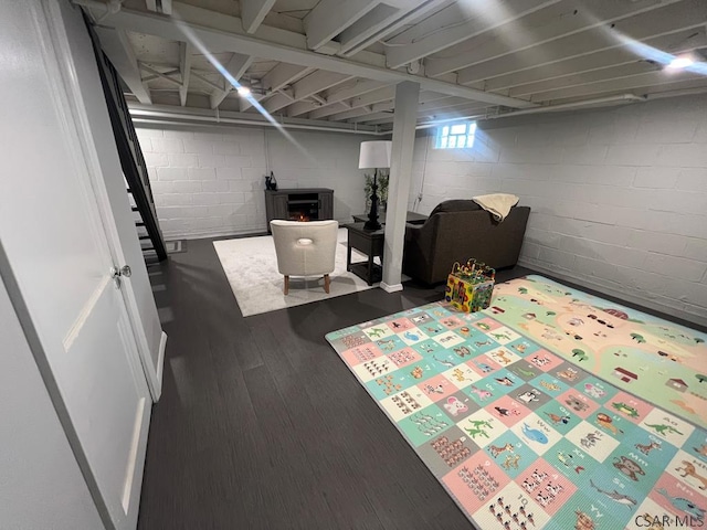 basement featuring concrete block wall and wood finished floors