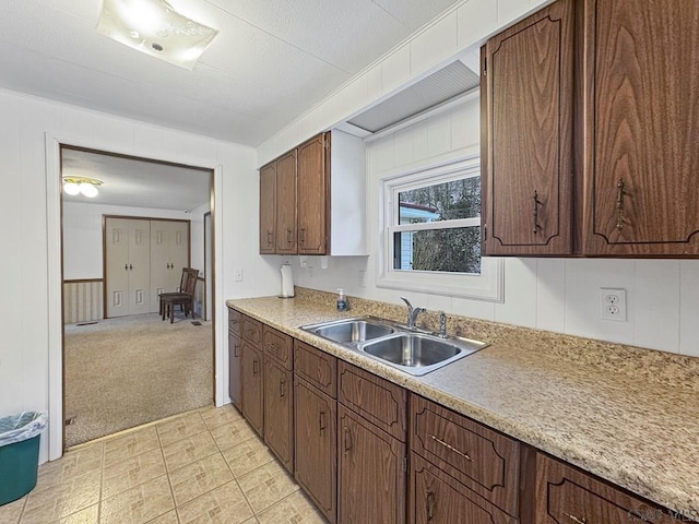 kitchen with sink and light carpet