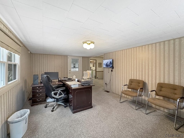 office space featuring light colored carpet