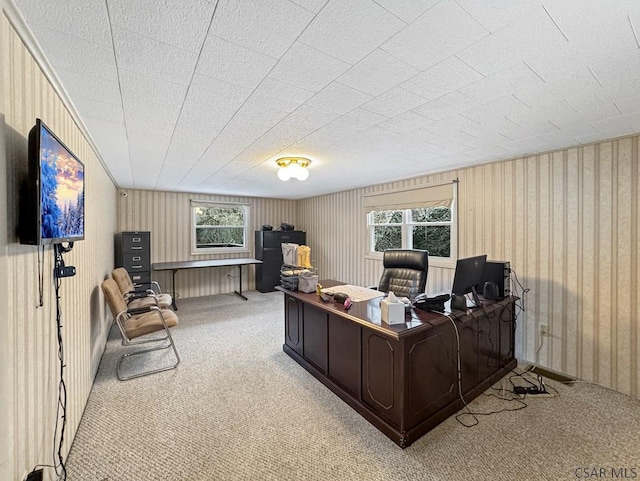 view of carpeted office space