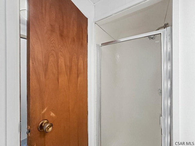 bathroom with a shower with shower door