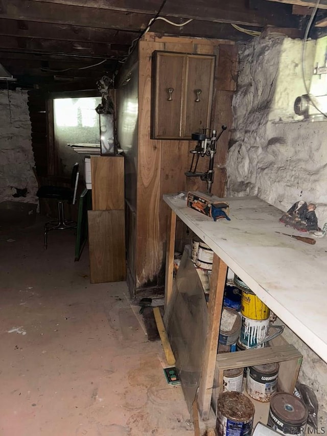 basement with a workshop area