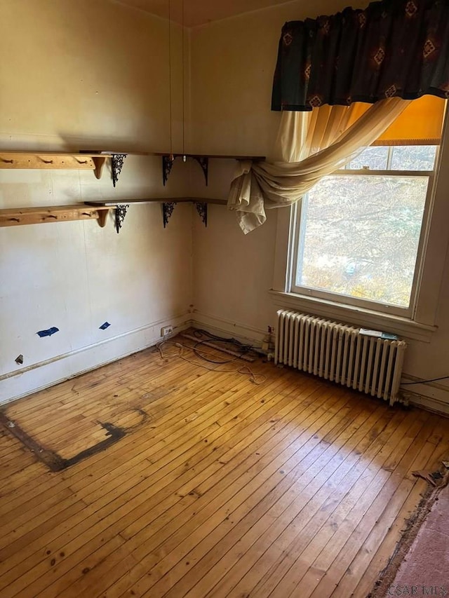 spare room with radiator, a wealth of natural light, and light wood-type flooring