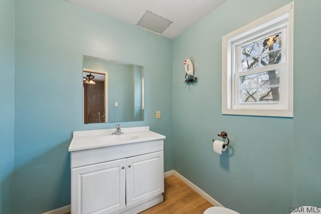 bathroom with vanity and wood-type flooring