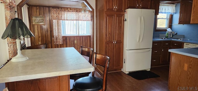 kitchen with dark hardwood / wood-style flooring, sink, and white fridge