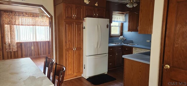 kitchen with white appliances, dark hardwood / wood-style flooring, sink, and a wealth of natural light