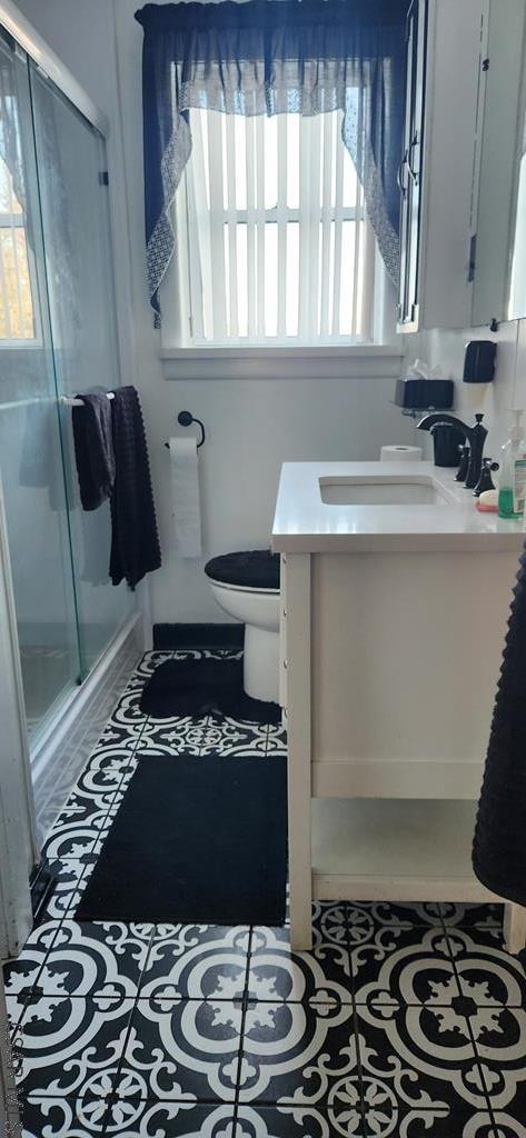 bathroom with vanity, a shower with door, and a wealth of natural light