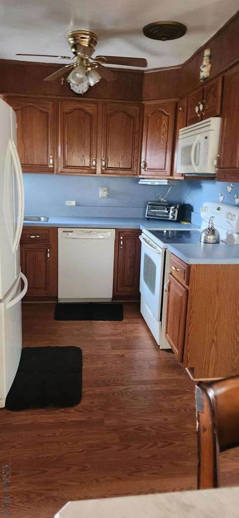 kitchen with ceiling fan, dark wood-type flooring, and white appliances