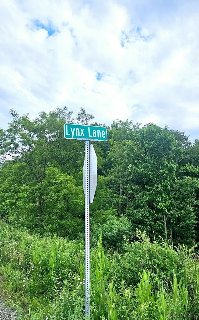 LOT2 Lynx Ln, Johnstown, PA 15961 - photo 6