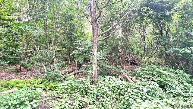 LOT2 Lynx Ln, Johnstown, PA 15961 - photo 3