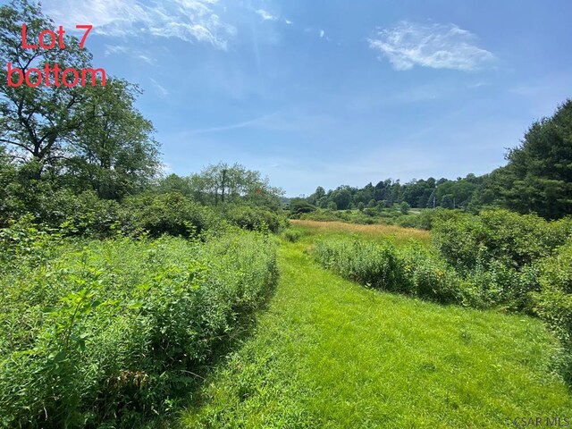 Crestview Dr, Davidsville, PA 15928 - photo 14