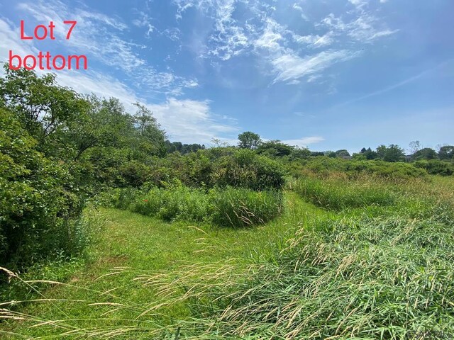 Crestview Dr, Davidsville, PA 15928 - photo 13