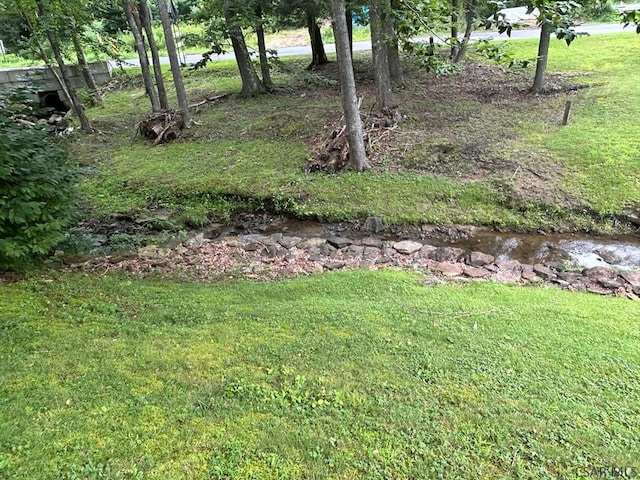 1619 Old Cardiff Rd, Nanty Glo, PA 15943 - photo 28