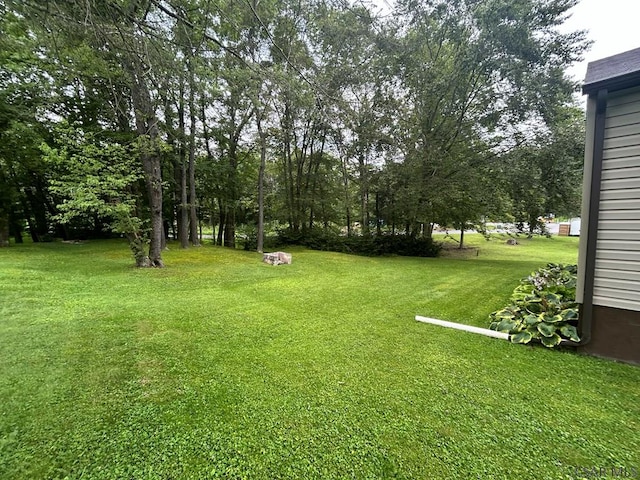 1619 Old Cardiff Rd, Nanty Glo, PA 15943 - photo 25