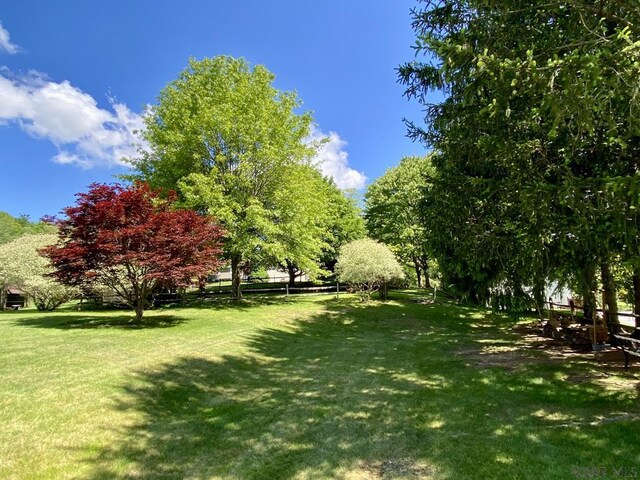 104 Erin Rd, Johnstown, PA 15905 - view of grassy yard
