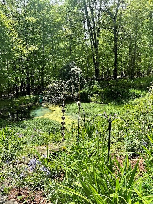 230 Trading Post Rd, Stoystown, PA 15563 - view of yard