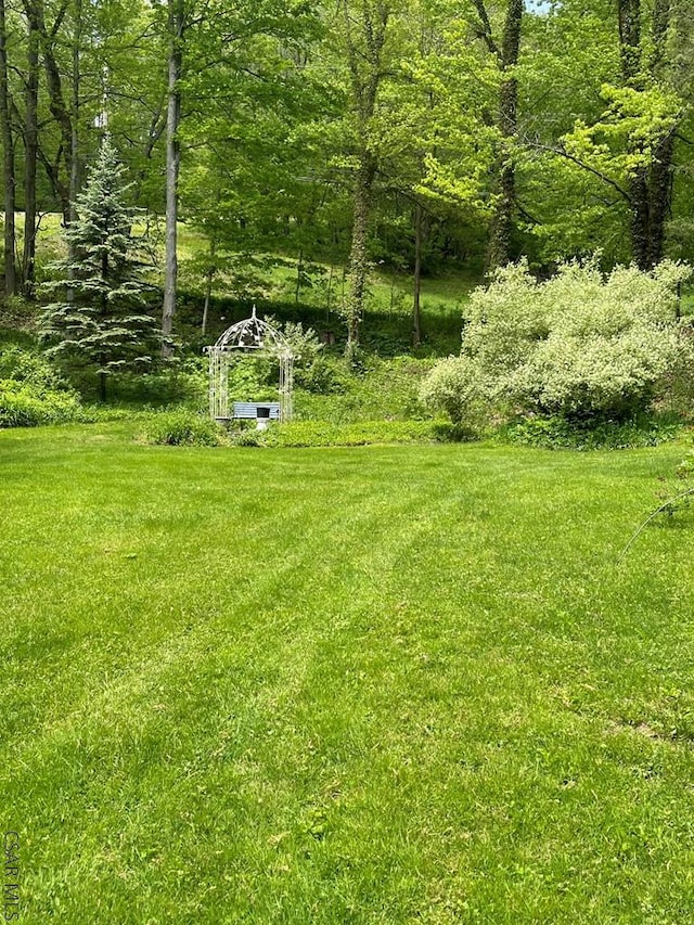 230 Trading Post Rd, Stoystown, PA 15563 - view of yard