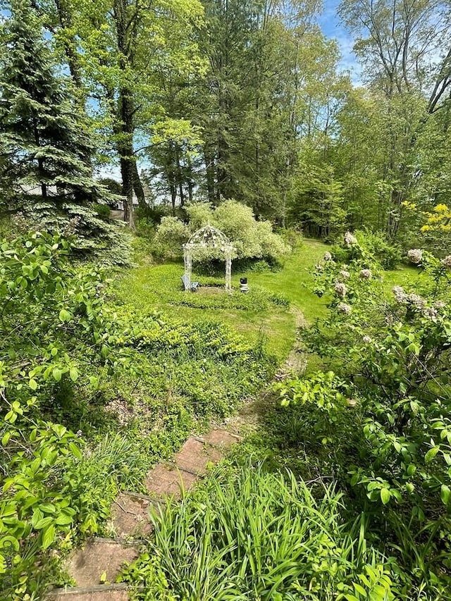 230 Trading Post Rd, Stoystown, PA 15563 - view of yard