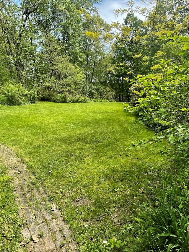 230 Trading Post Rd, Stoystown, PA 15563 - view of grassy yard