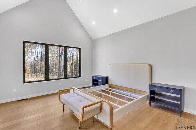 living area with light hardwood / wood-style flooring and high vaulted ceiling