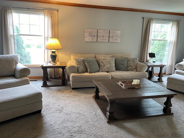 110 Canfield Ave, Johnstown, PA 15904 - photo 14