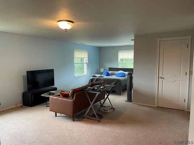 110 Canfield Ave, Johnstown, PA 15904 - photo 39
