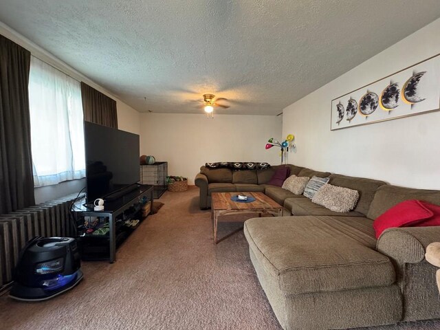 203 10th St, Windber, PA 15963 - photo 6