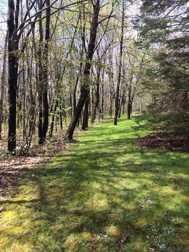 0 Bluebird Ln, Rockwood, PA 15557