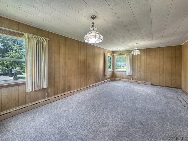 751 Pike Rd, Johnstown, PA 15909 - empty room with wooden walls and carpet floors
