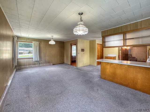 751 Pike Rd, Johnstown, PA 15909 - unfurnished living room with a baseboard heating unit, carpet, and wooden walls